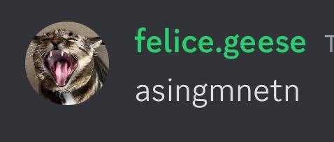 assignment.png