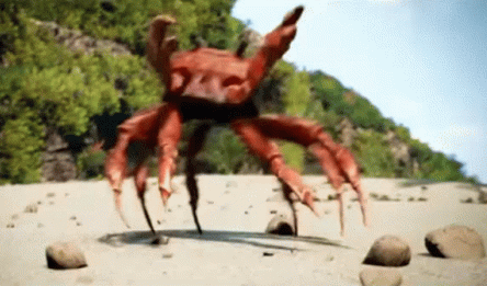 crabrave.gif