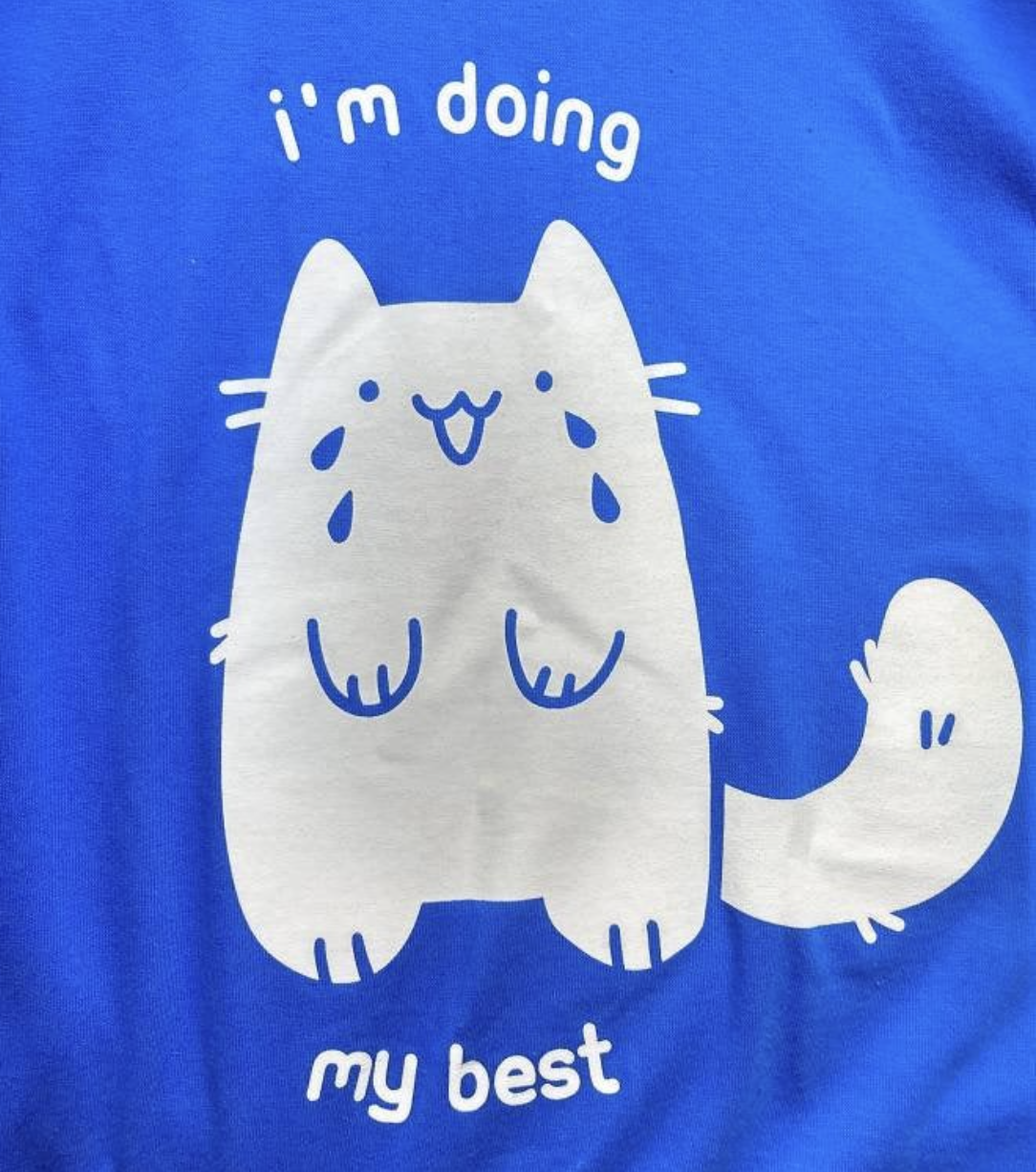effort-cat.png
