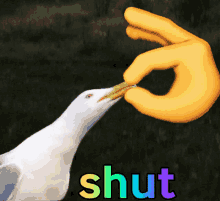 shut.gif